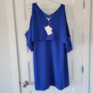 Blue Maternity Dress